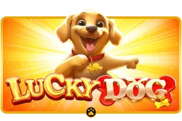 Live casino table games available on kkjili Philippines